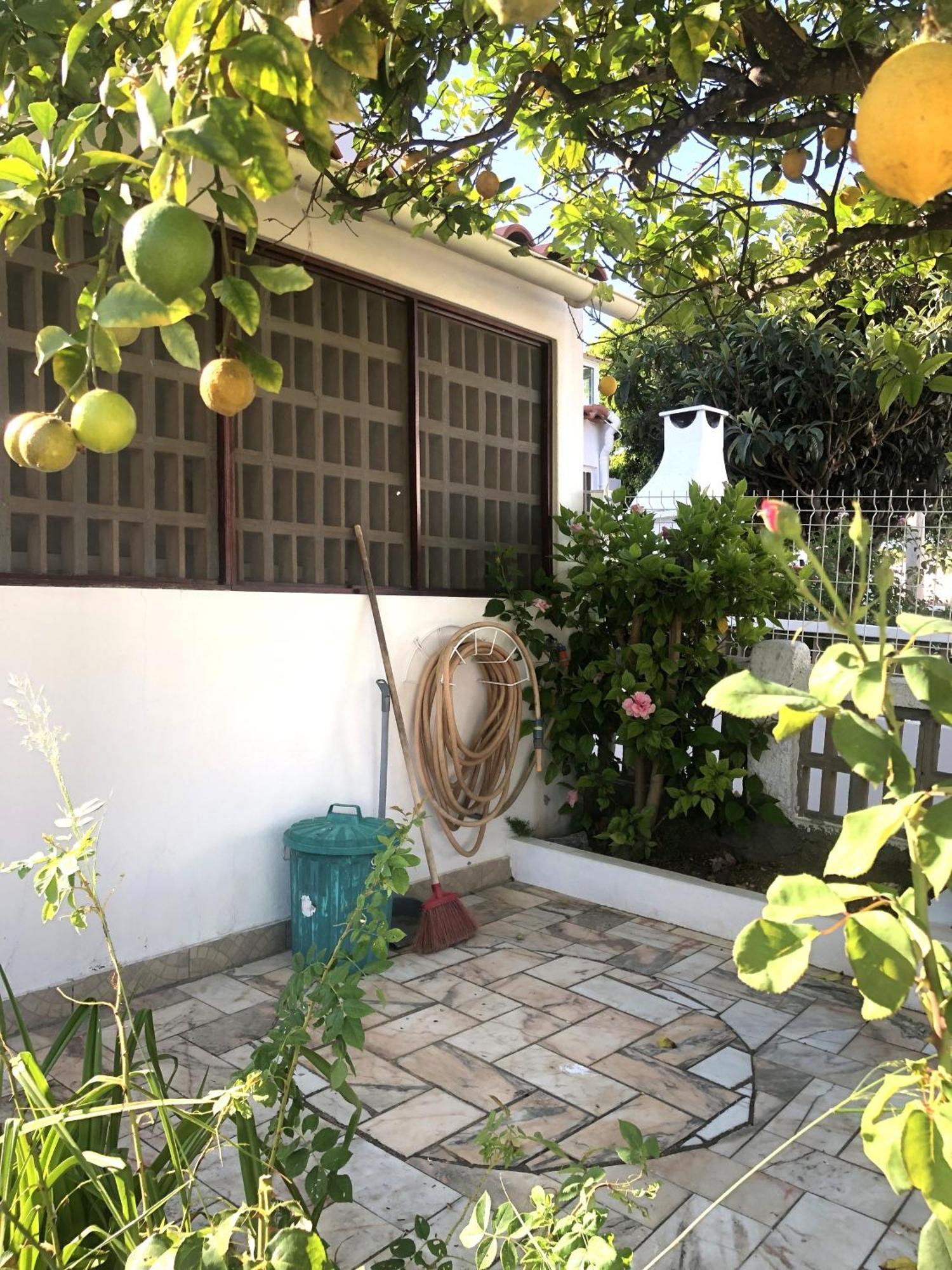 Casa Do Limoeiro Villa อัลบูเฟรา ภายนอก รูปภาพ
